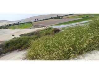 Foto 6 de VENTA TERRENO AGRÍCOLA EN LA ENSENADA - MEJA