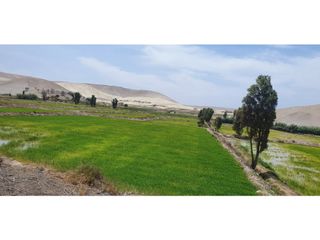 Foto 2 de VENTA TERRENO AGRÍCOLA EN LA ENSENADA - MEJA