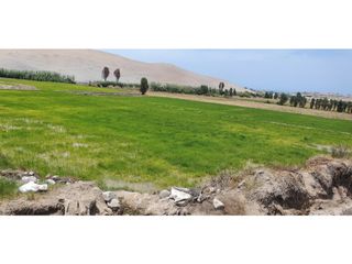 Foto 3 de VENTA TERRENO AGRÍCOLA EN LA ENSENADA - MEJA
