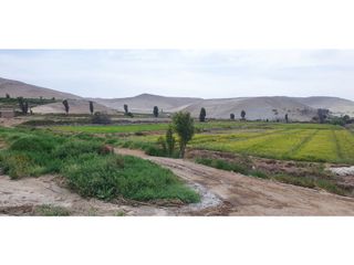 Foto 4 de VENTA TERRENO AGRÍCOLA EN LA ENSENADA - MEJA