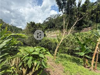 Foto 9 de Casa en conjunto en arriendo, San Bernardo del Viento, Manizales
