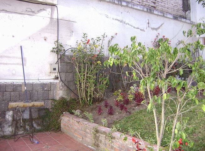 place photo 21