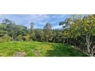 Foto 4 de BROKER LOTE EN VENTA PARCELACION CIUDAD VERDE  A 10 MINUTOS DE POPAYAN