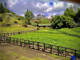 Finca Productiva Sector Aeropuerto (Rionegro)