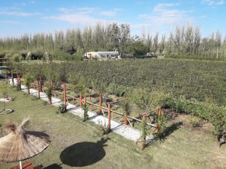 Foto 49 de Cabañas En Mendoza - Salto De Las Rosas