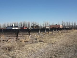 Foto 47 de Cabañas En Mendoza - Salto De Las Rosas