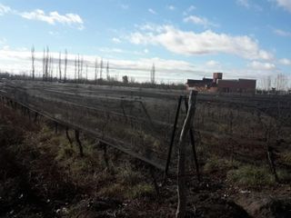 Foto 51 de Cabañas En Mendoza - Salto De Las Rosas
