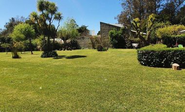 place photo 34