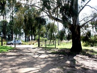 Foto 19 de VILLA BERNA- Magnífico Lote con bosque -14.574 m2