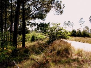 Foto 13 de VILLA BERNA- Magnífico Lote con bosque -14.574 m2