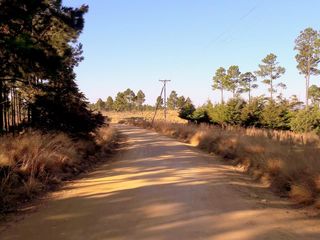 Foto 18 de VILLA BERNA- Magnífico Lote con bosque -14.574 m2