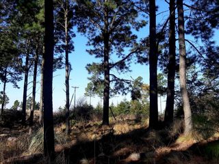 Foto 4 de VILLA BERNA- Magnífico Lote con bosque -14.574 m2