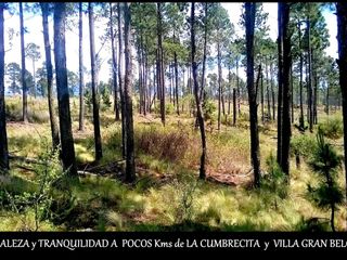 Foto 17 de VILLA BERNA- Magnífico Lote con bosque -14.574 m2