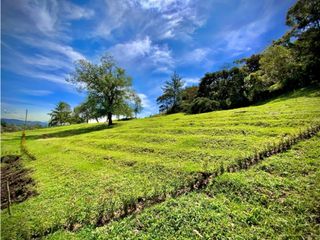 Lote NUEVA Parcelacion Llanogrande