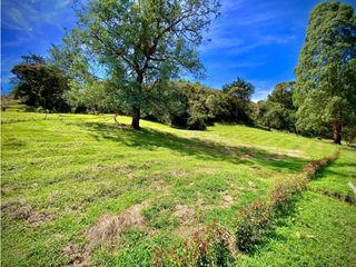 Lote NUEVA Parcelacion Llanogrande