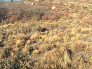 Foto 4 de Excelente terreno Barrancas de Dina Huapi