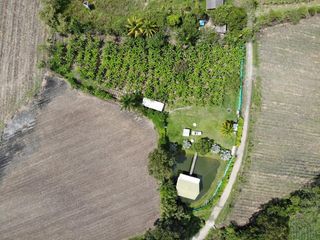 Foto 26 de finca en venta en corregimiento el cabuyal. Cod V905
