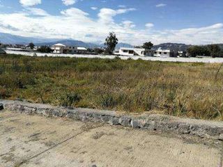 Foto 5 de VENDO TERRENO NORTE DE QUITO, SECTOR CALDERON, PARA PROYECTO HABITACIONAL