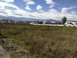 Foto 3 de VENDO TERRENO NORTE DE QUITO, SECTOR CALDERON, PARA PROYECTO HABITACIONAL