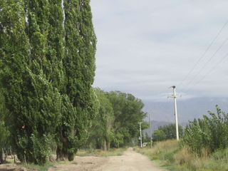 Finca en Venta, Campo Cepillo, Valle de Uco