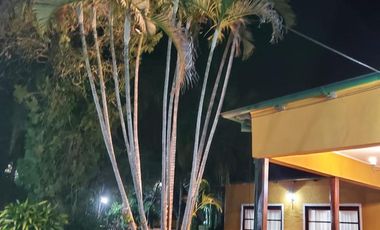 place photo 49