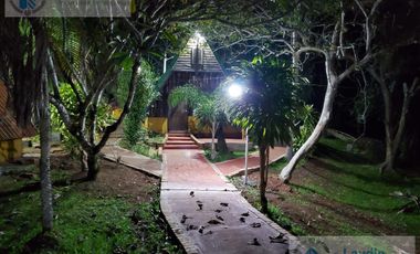 place photo 52