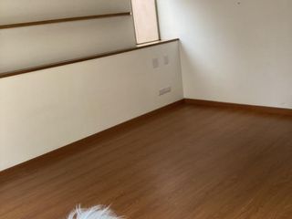 Foto 16 de apartamento en arriendo en chico norte. Cod A12274