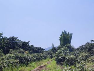 Terreno en Huaral área: 2800m2 $43,000