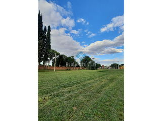 Foto 5 de VENTA- 5 TERRENOS-COLONIA CAROYA