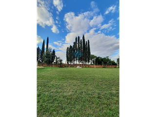 Foto 6 de VENTA- 5 TERRENOS-COLONIA CAROYA