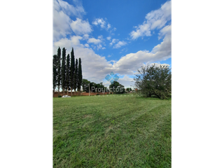 Foto 4 de VENTA- 5 TERRENOS-COLONIA CAROYA