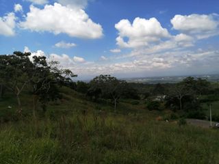 Foto 5 de lote en venta en pance. Cod V9407
