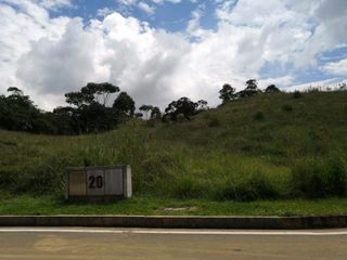 Foto 2 de lote en venta en pance. Cod V9407