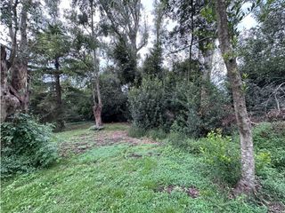 Foto 6 de Lote en venta en Barrio Bosquecitos en Brandsen