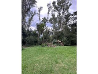 Foto 1 de Lote en venta en Barrio Bosquecitos en Brandsen