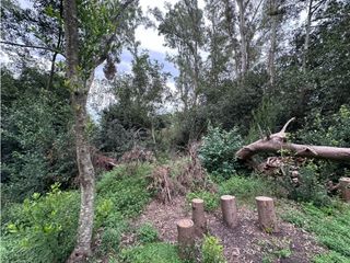 Foto 7 de Lote en venta en Barrio Bosquecitos en Brandsen