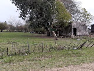 Chacra - Gualeguaychu