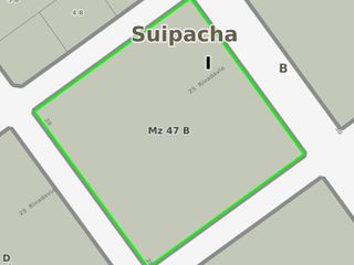 Terreno en venta - 10000 mts2 - Suipacha