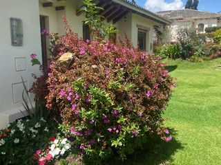 Foto 2 de Venta Pakakuna Gardens en Checa villa amplia