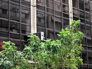 Alquiler de Oficinas - 300 m2 - listas para entrar!