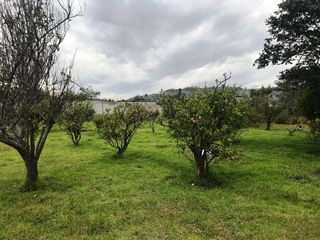 Foto 1 de Venta Terreno, Sector Tumbaco Altura  La Morita por Lado de Ruta Viva