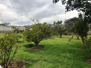 Foto 7 de Venta Terreno, Sector Tumbaco Altura  La Morita por Lado de Ruta Viva