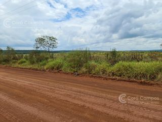 Se vende Campo Ganadero y Forestal a minutos de Virasoro Corrientes.  Ruta 68
