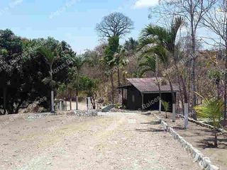 Via a la Costa km 22, vendo Finca Urbana, 3.43 Ha, Guayaquil, cerca Peaje, Chongón, con cultivo de árboles de Teca y frutales.