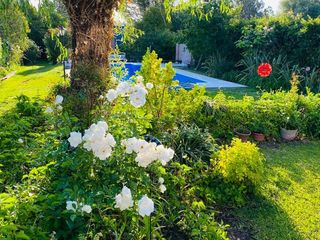 Foto 7 de VENTA DE CASA EN Juana Koslay