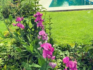 Foto 10 de VENTA DE CASA EN Juana Koslay