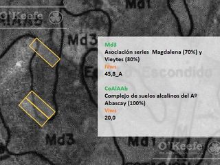 La Plata 3.1 has Horticolas