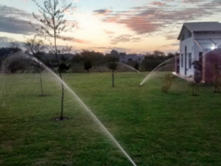 Foto 6 de VENTA DE NEGOCIO INMOBILIARIO EN GUALEGUAY FUNCIONANDO | AMPLIO TERRENO