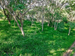 Foto 3 de TERRENO EN VENTA CLUB DE CAMPO EL TIPAL 3809 M2