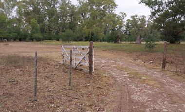 place photo 40